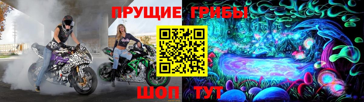 Псилоцибиновые грибы прущие грибы  Вход с VPN  Мелеуз 